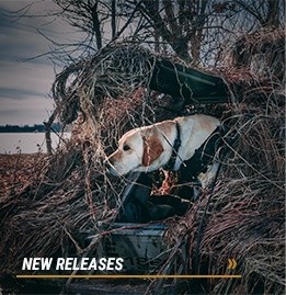 New Releases Card