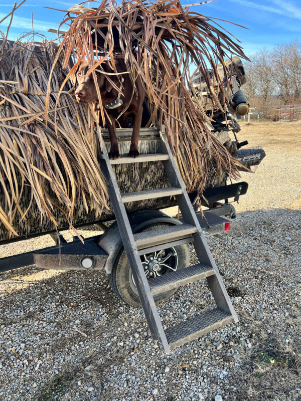 Dog Ladder Kit