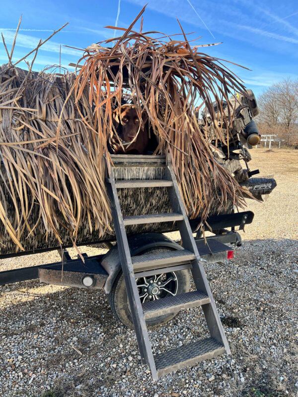 Dog Ladder Kit - Image 4