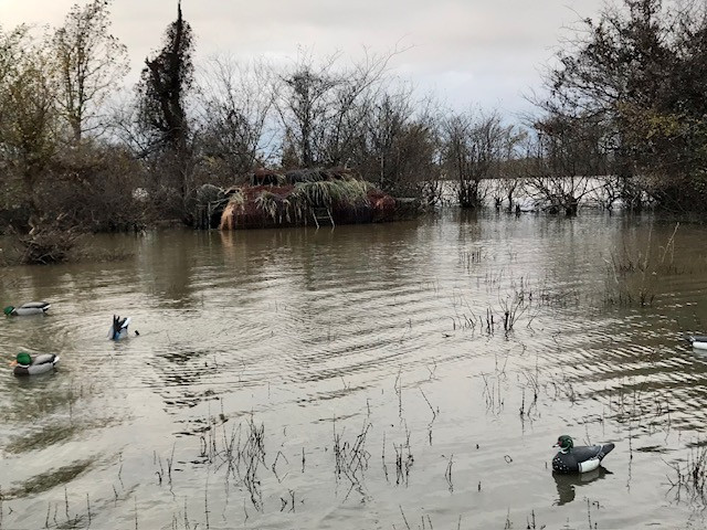 (Preowned) 2020 LOWE Roughneck 1860 Waterfowl - Image 9